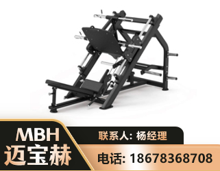 临汾45°倒蹬训练器