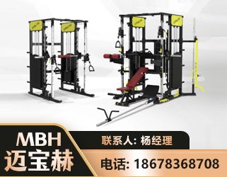 临汾多功能综合训练器
