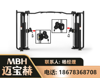 临汾大飞鸟训练器
